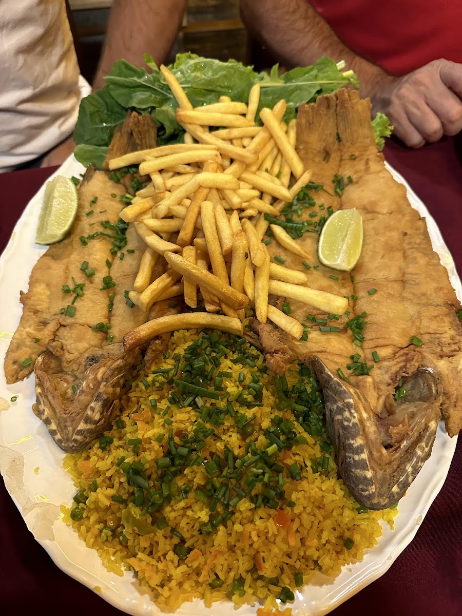 Choperia Zé Do Peixe-6